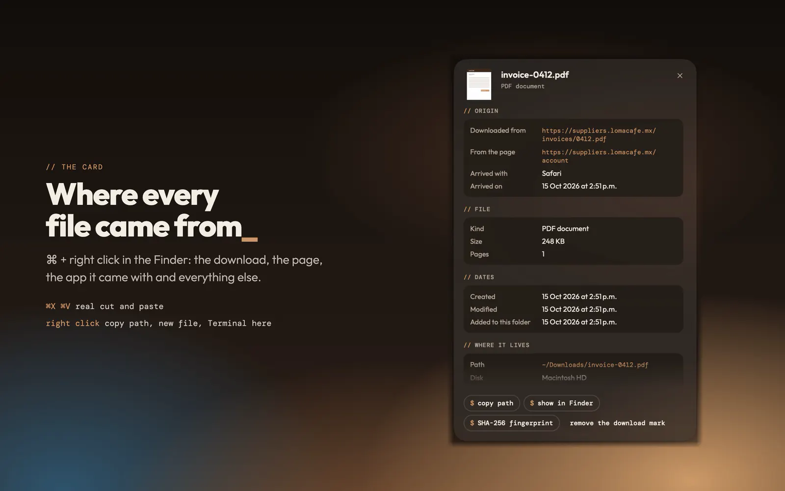 The card of a PDF in MochaFiles: where it was downloaded from, which app it came with and when